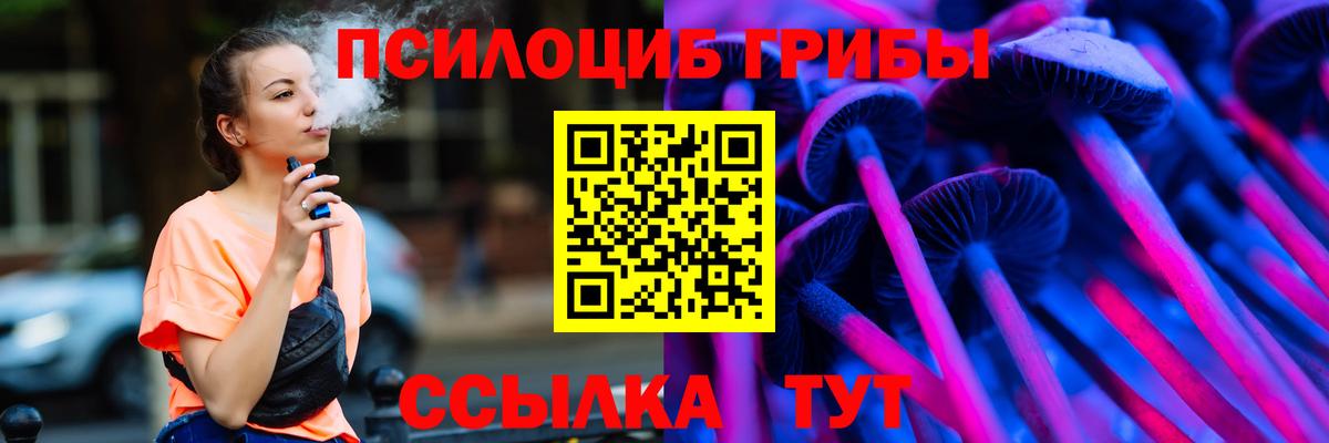 Карасук  Псилоцибиновые грибы MAGIC MUSHROOMS  Вход с VPN 