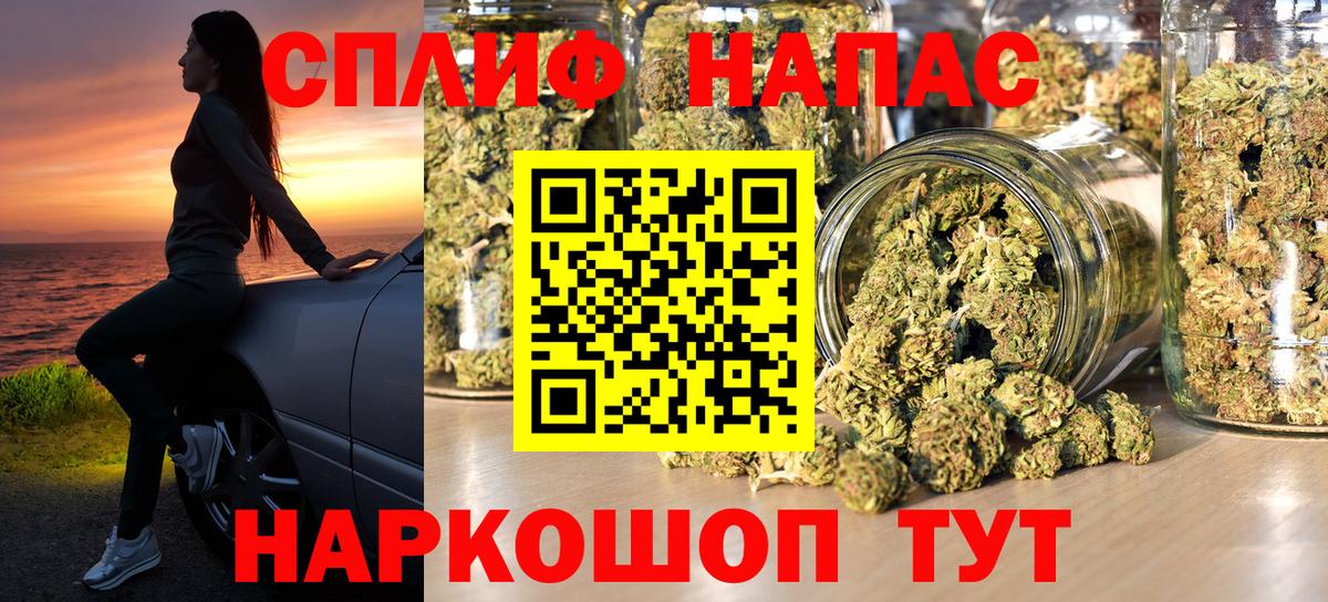 Бошки марихуана конопля Карасук